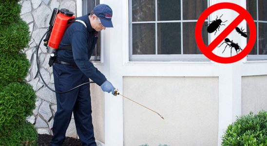 Bolvadin Kene İlaçlama böcek ilaçlama ve haşere kontrolü — ilaclama-tr.com
